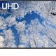 Tivi LG UHD UQ7050 55 inch 4K Smart TV | 55UQ7050 - ảnh 2