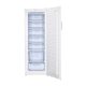 Tủ Đông Alaska đứng 250 Lít IF-25 - ảnh 2