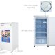 Tủ đông đứng Hòa Phát 147 lít HUF 350SR1