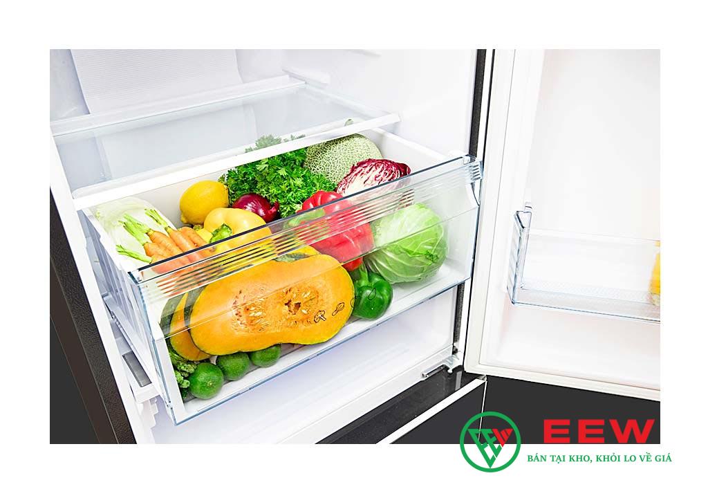 Tủ lạnh Panasonic NR-BV360GKVN dung tích 290 lít - không gian rộng rãi, bảo quản thực phẩm tươi ngon