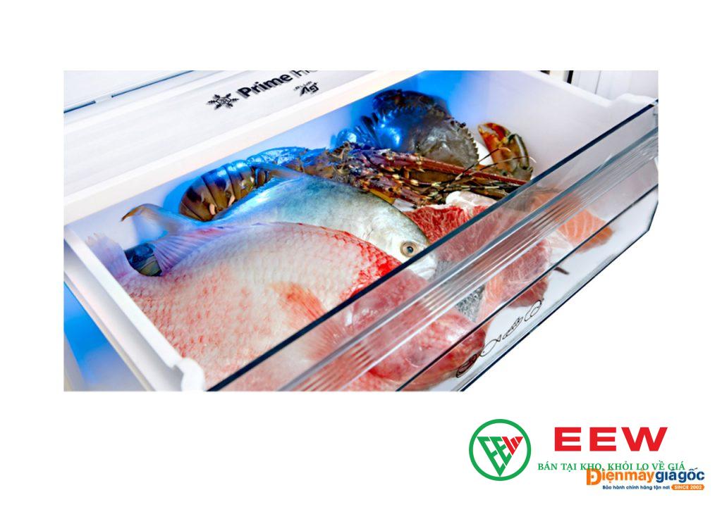 Tủ lạnh Panasonic 255 lít - vận hành êm ái, bền bỉ, lựa chọn thông minh cho không gian hiện đại