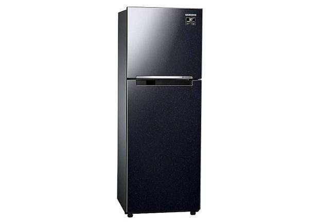 Tủ lạnh Samsung Inverter 236 lít RT22M4032BU/SV