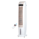 Quạt hơi nước Daikiosan DM106